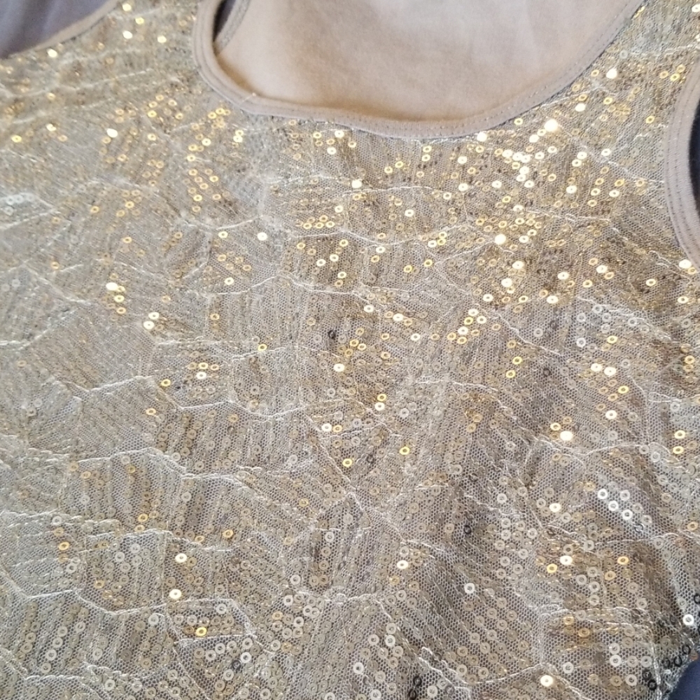 Sequined Silver Dress